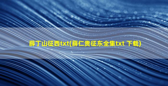 薛丁山征西txt(薛仁贵征东全集txt 下载)